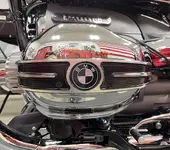 RSD_black_fins.webp