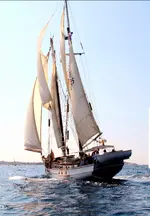 20210227_165618.jpg 20210227_165618.jpg