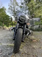 IMG_0206-1.webp