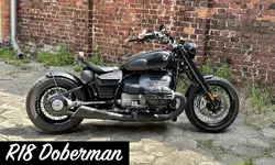 R18_Doberman.webp