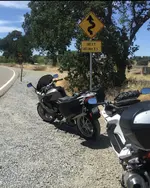 IMG_2036.webp IMG_2036.webp