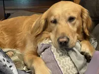 Annika Relaxing.webp