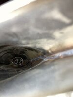 IMG_6604.JPG IMG_6604.JPG