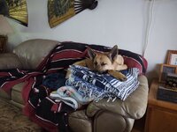 IMG_20231221_082905800.jpg