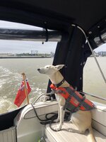 IMG_7091.jpeg