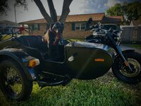 IMG_3305.jpeg