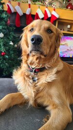 20201229_114533.jpg