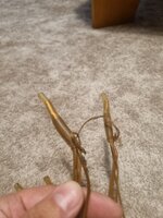 IMG-20240112-WA0004.jpg