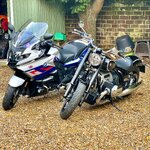 IMG_3105.jpeg IMG_3105.jpeg