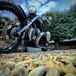 IMG_3412.jpeg IMG_3412.jpeg