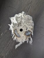 weld1.jpg weld1.jpg