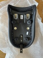 IMG_9482.jpeg