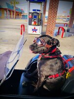 FullSizeRender.jpeg FullSizeRender.jpeg