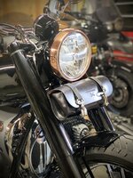 IMG_4239.jpeg