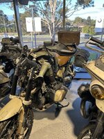 IMG_7584.jpeg