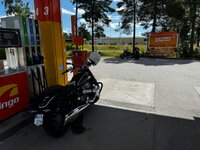 IMG_8533.jpeg