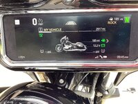IMG_0017.jpeg