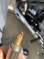 IMG_4258 otherside plug.webp