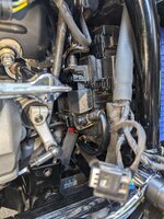 PXL_20241013_180238832.RAW-01.COVER.jpg