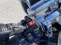 IMG_9964.JPG IMG_9964.JPG