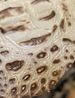 20241031_125703_resized.jpg 20241031_125703_resized.jpg