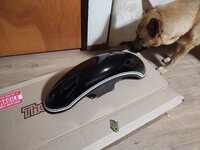 Fender_01.jpg