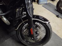 Fender_04.jpg