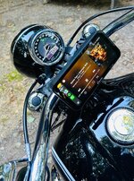 IMG_6608.jpeg