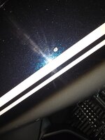 20250221_090850.jpg