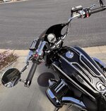 IMG_7003.jpeg