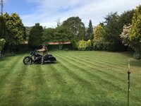 IMG_2105.jpeg