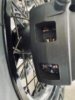 IMG_5149.jpeg