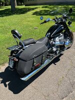 IMG_3533 (1).jpeg