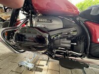 IMG_2328.jpeg