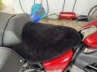 IMG_2361.jpeg