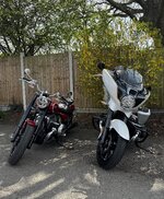 IMG_2766.jpeg