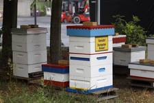 image_2025-10-10_103440006.png image_2025-10-10_103440006.png