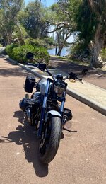 IMG_5247.jpeg IMG_5247.jpeg