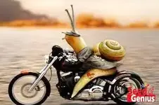 images-4.webp