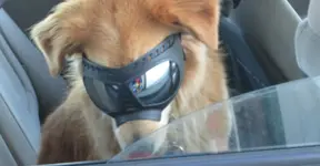Nina Goggles.JPG