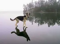 77165945_10157683551263688_41531367384678400_o.webp
