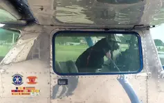 Dog Is My Copilot.jpg