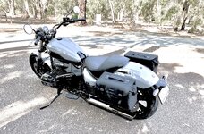 IMG_5683.jpeg