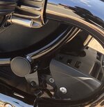 IMG_5249.jpeg