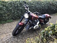 IMG_2451.jpeg IMG_2451.jpeg