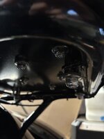 IMG_0393.jpeg IMG_0393.jpeg