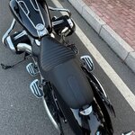 IMG_0343.jpeg