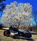 IMG_0348.jpeg