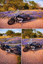IMG_0356.jpeg