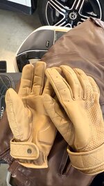 IMG_6931.jpeg